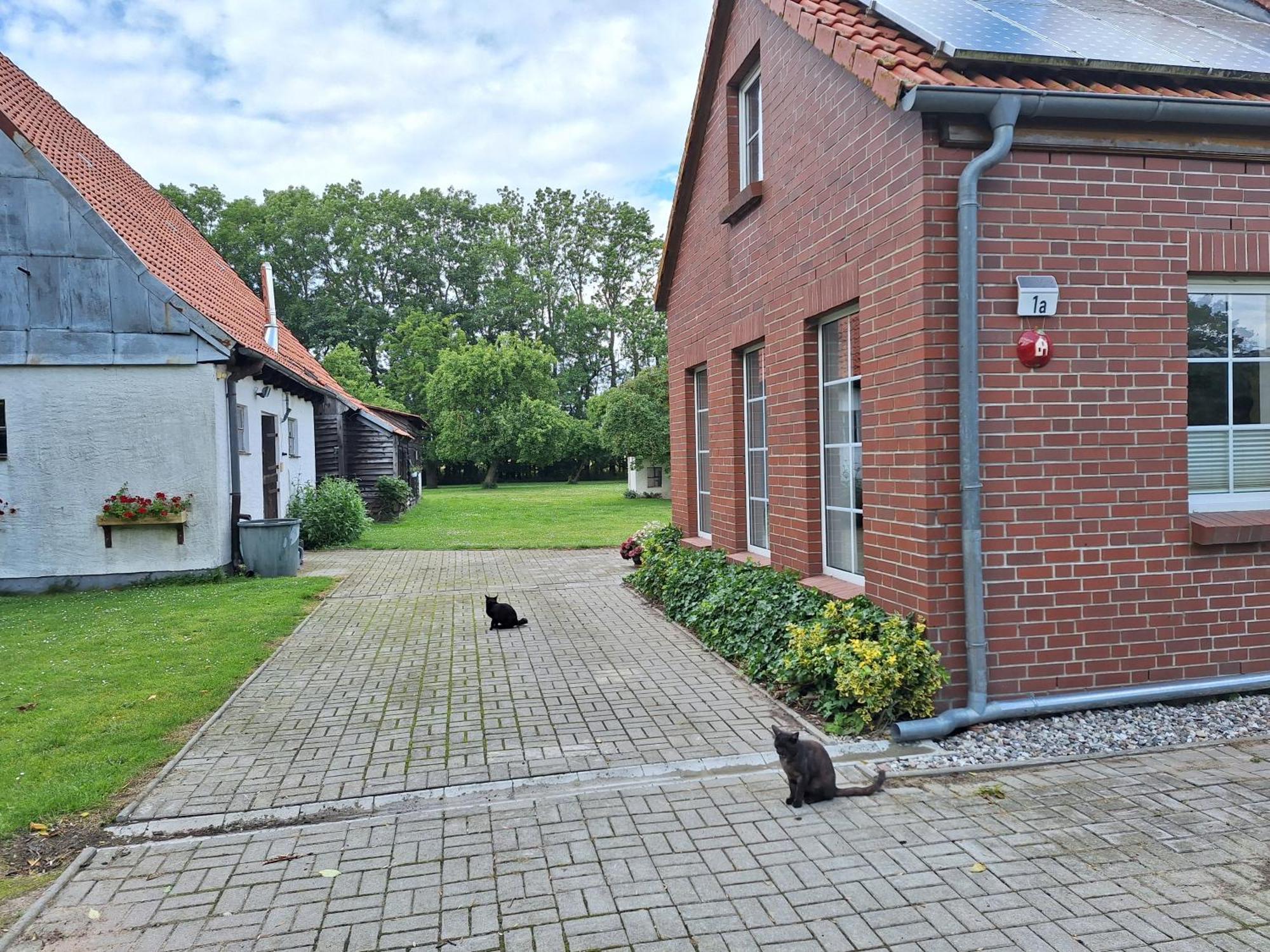 Das Apfelhaus Rappin Exterior photo